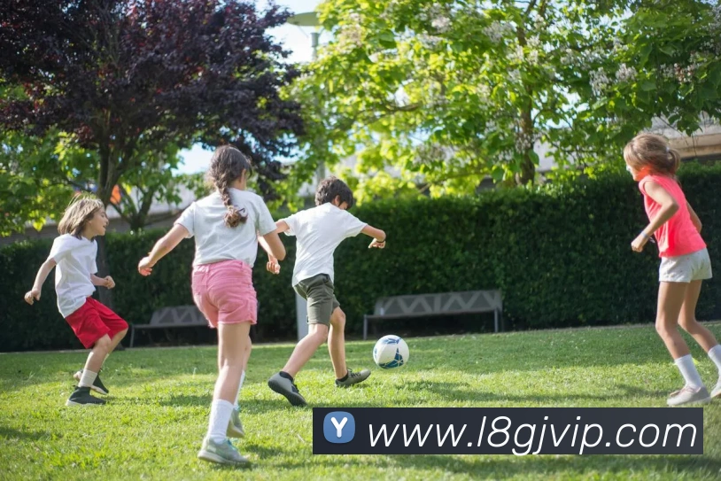 多媒体互动体验