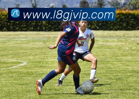 龙8国际APP 体育赛事宣传图